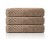 Ręcznik Bawełniany PAULA 50x90 550g | Miękki | Kolor Taupe