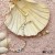 Bransoletka z perłą Shell | Elegancka, pozłacana | YVON B00348 + pudełko